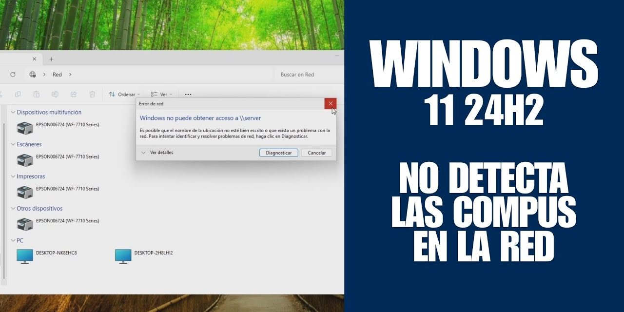 Reparar error de Windows 11 24h2 no detecta equipos en red 11
